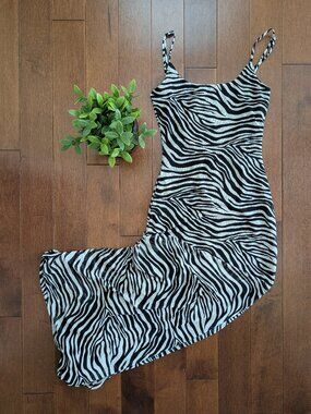 4/$25 PRINCESS POLLY KNOX ZEBRA MAXI DRESS